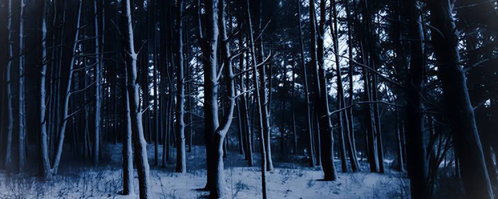 Individuelle Yogakurse in Vilnius