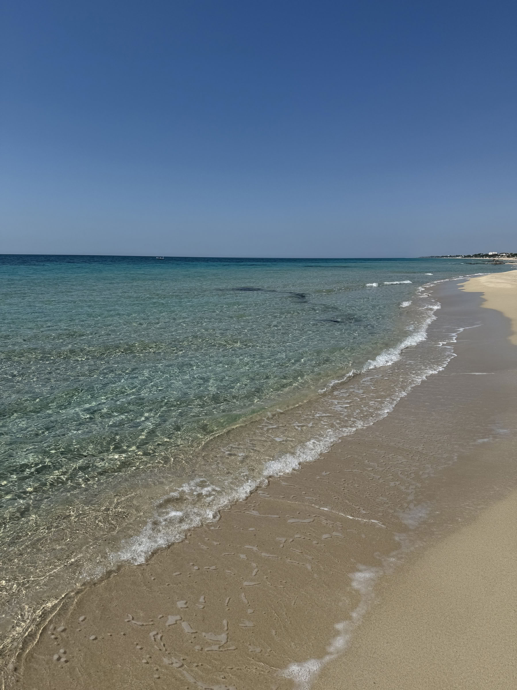 Conversations with Place: Eine kreative Residency in Masseria Specula