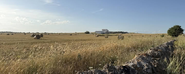 Conversations with Place: Eine kreative Residency in Masseria Specula