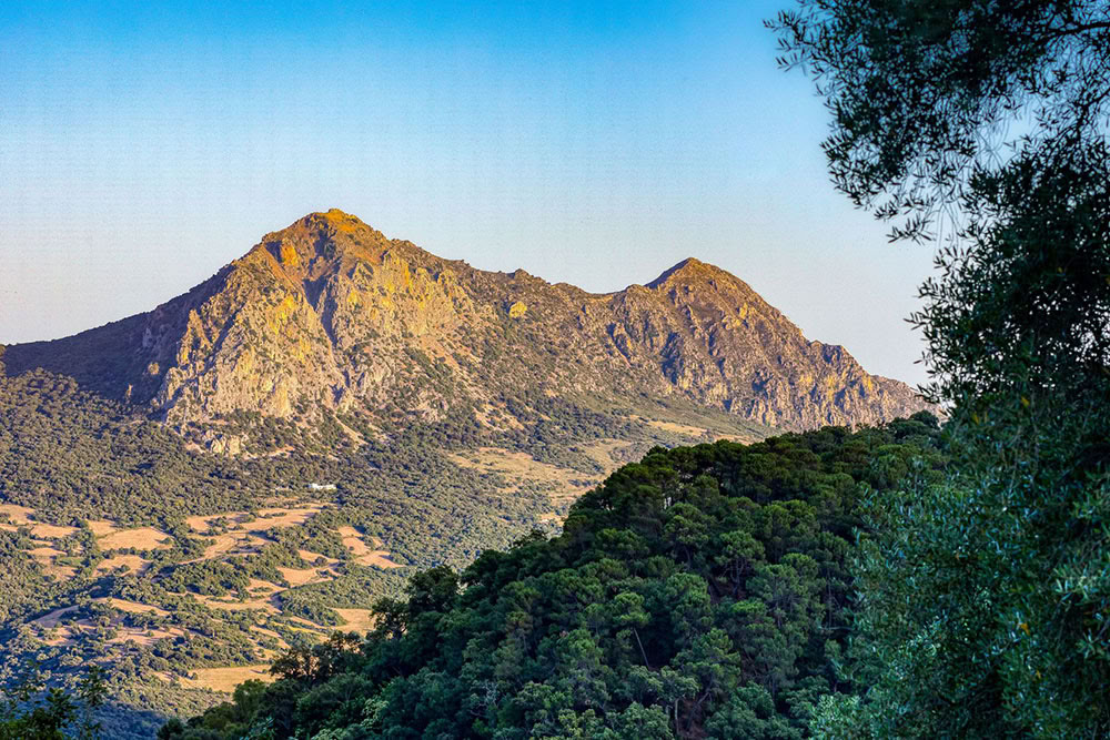 Root to Rise Yoga- und Life-Coaching-Retreat