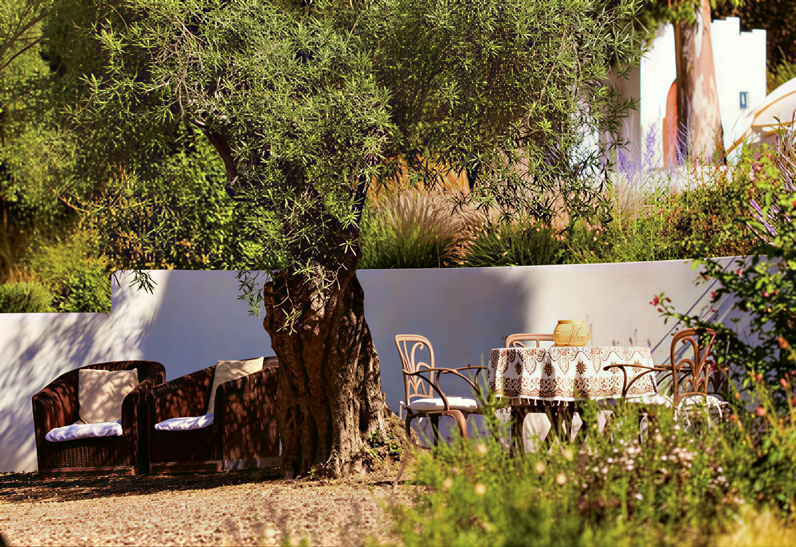 Root to Rise Retreat