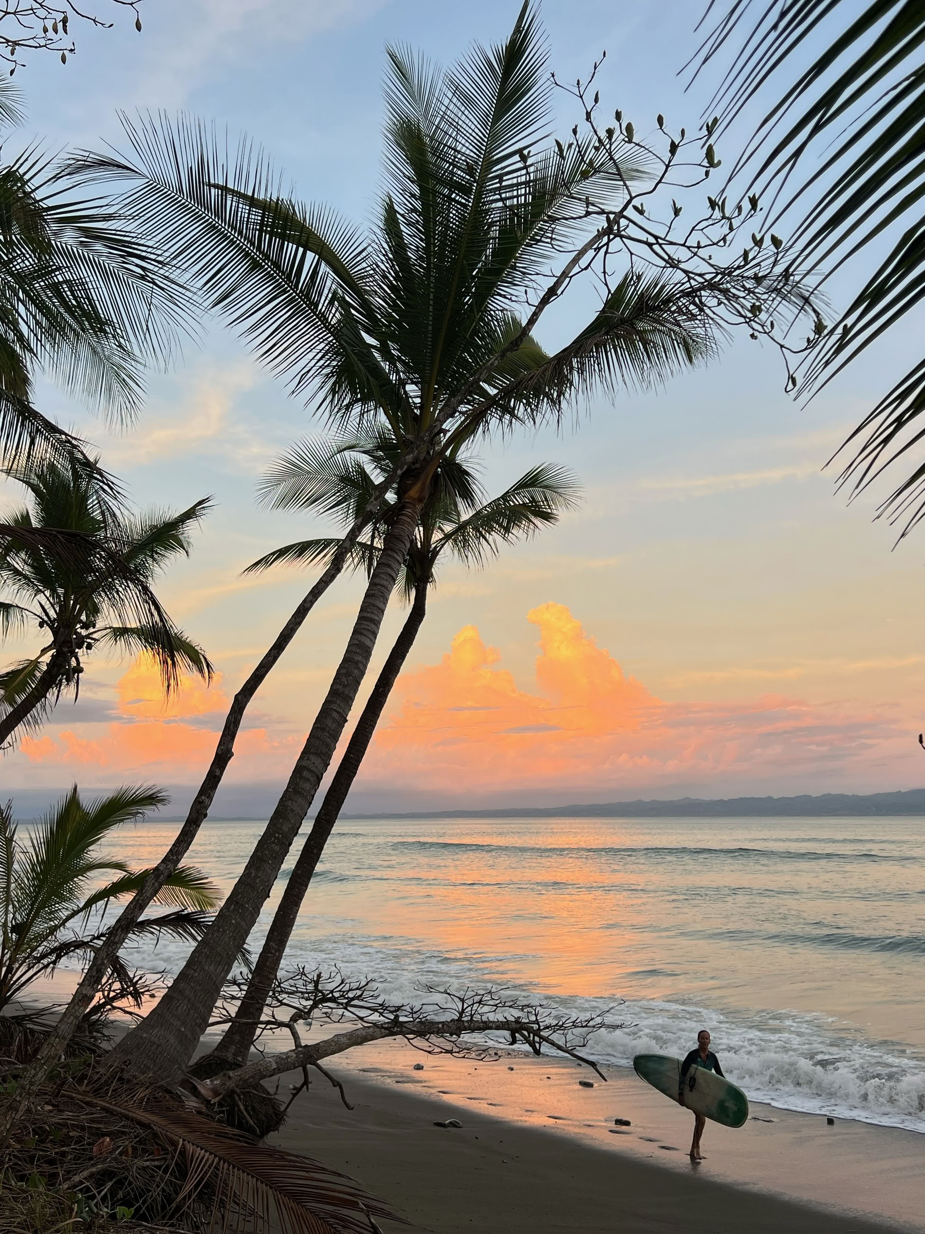 Yoga & Surf auf der Osa-Halbinsel, 13.–20. März 2027 — ASHTANGA MONTAUK