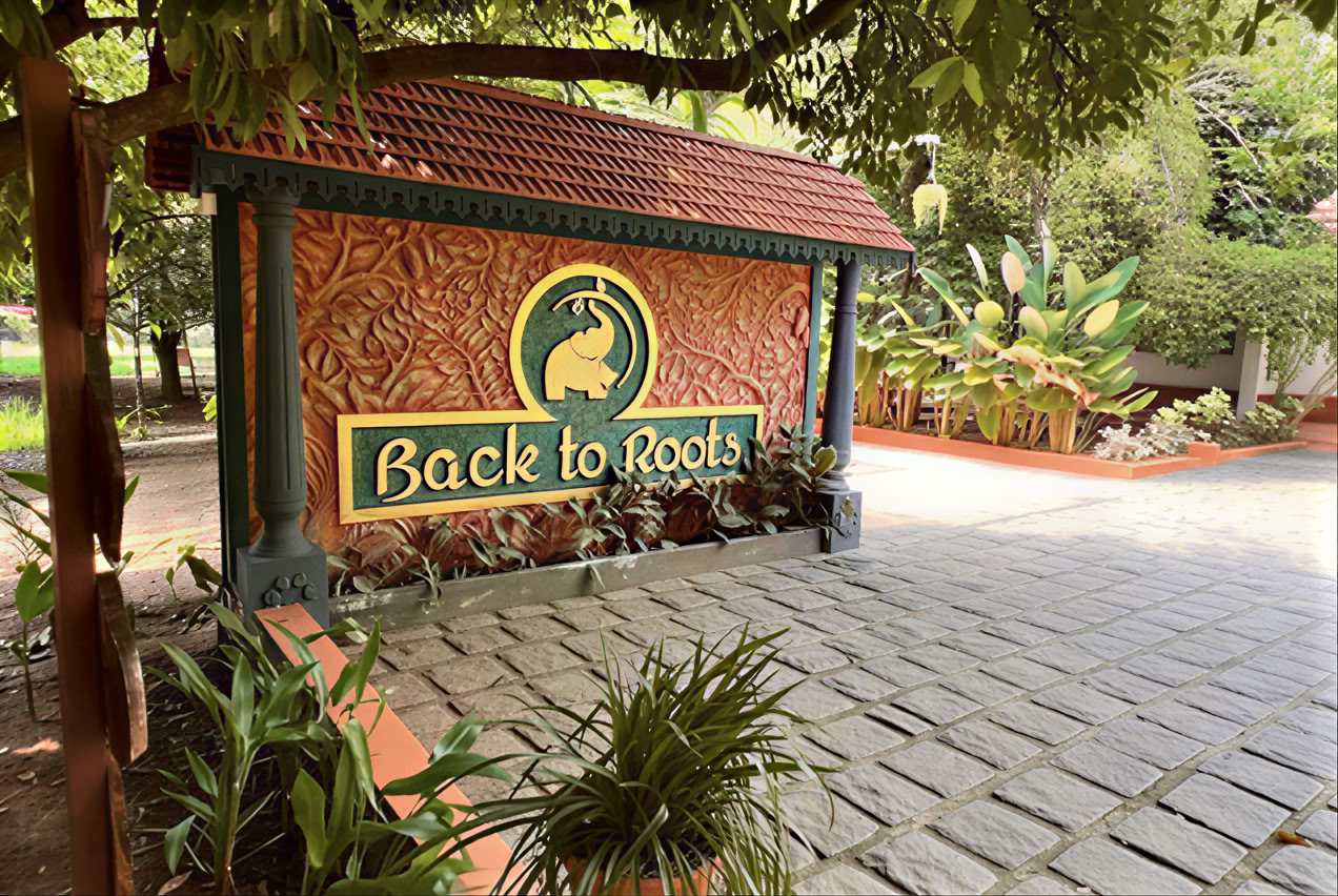14-Nächte-Detox bei Back to Roots Ayurveda