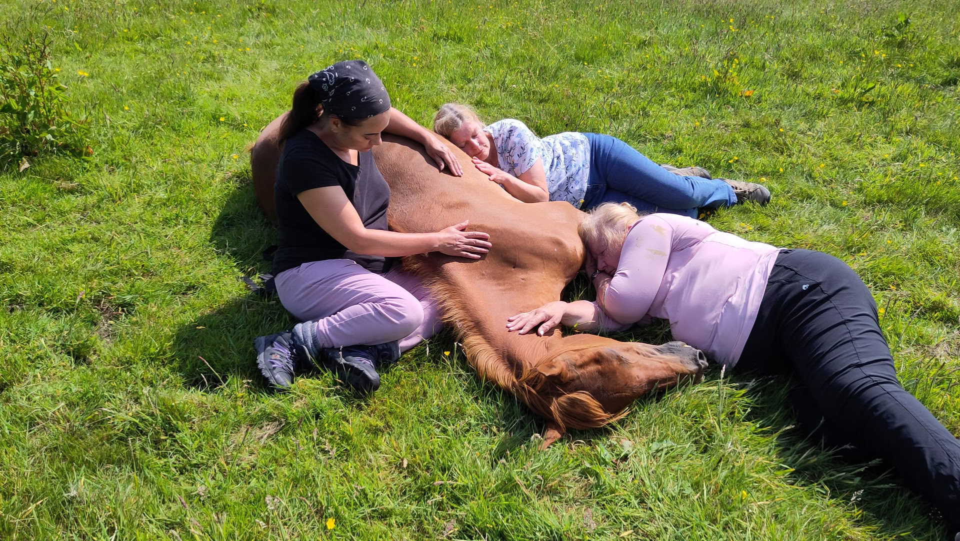 Silent Healing mit Pferden