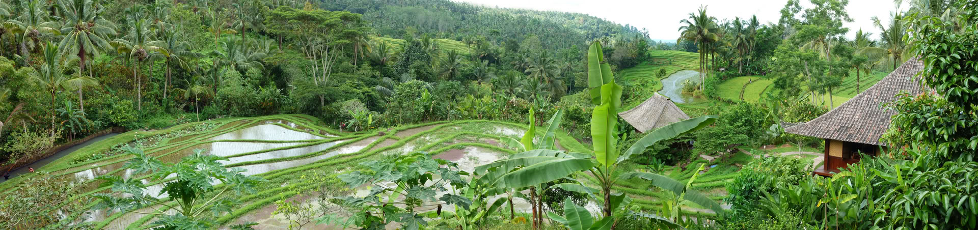 Einmaliges Bali-Angebot