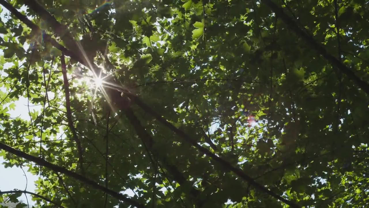 Breathwork Retreat: Atmen und Beginnen