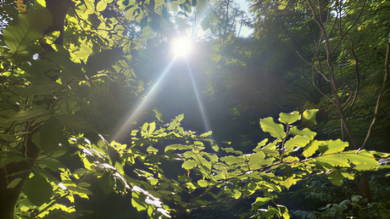 Achtsamkeit und Metta – Ein Yoga-Wochenende