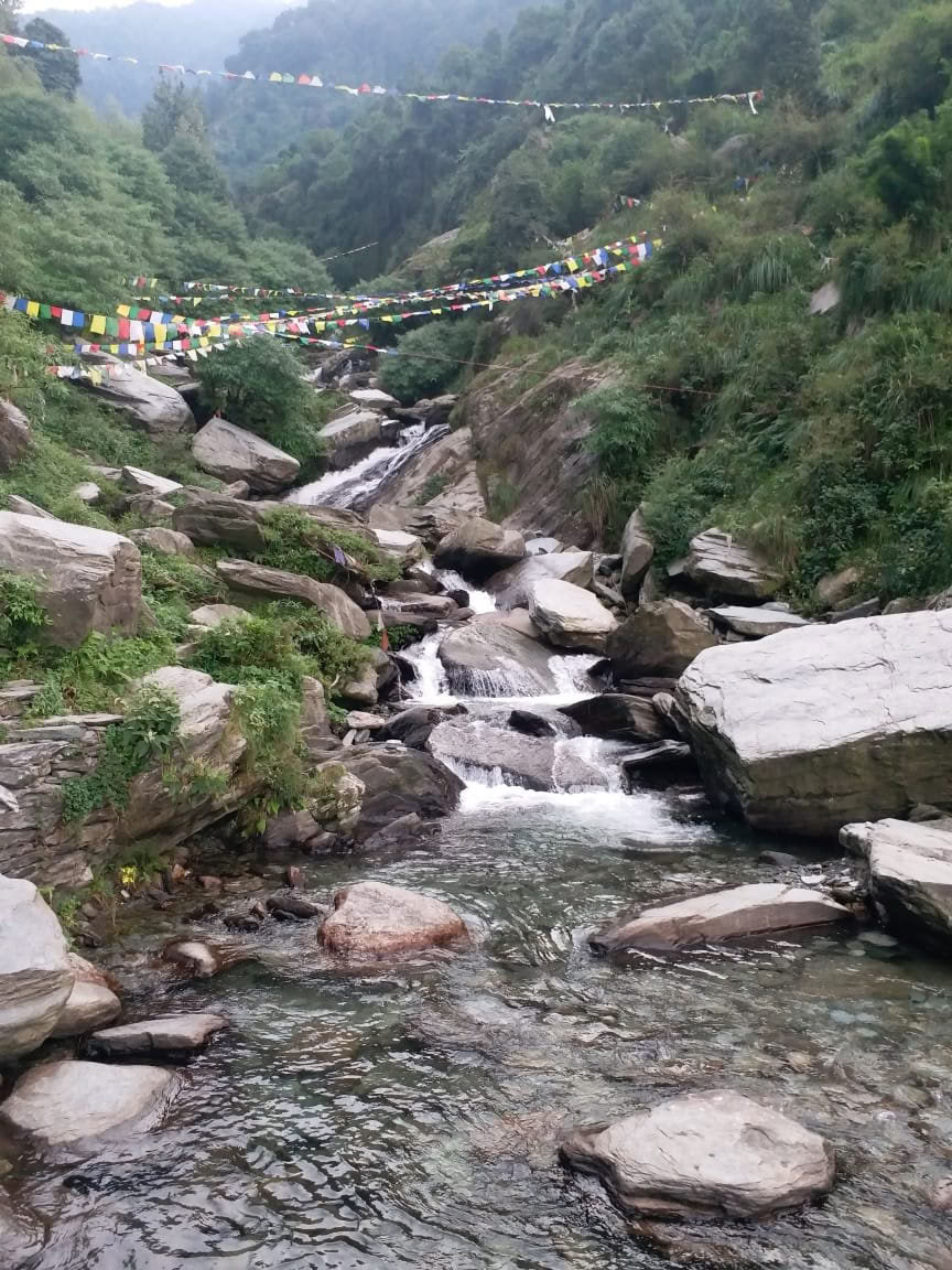 200-Stunden-Yogalehrerausbildung in Dharamsala