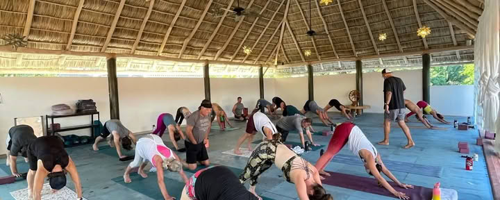 Margaritas und Chaturangas – Ein mexikanisches Yoga-Abenteuer