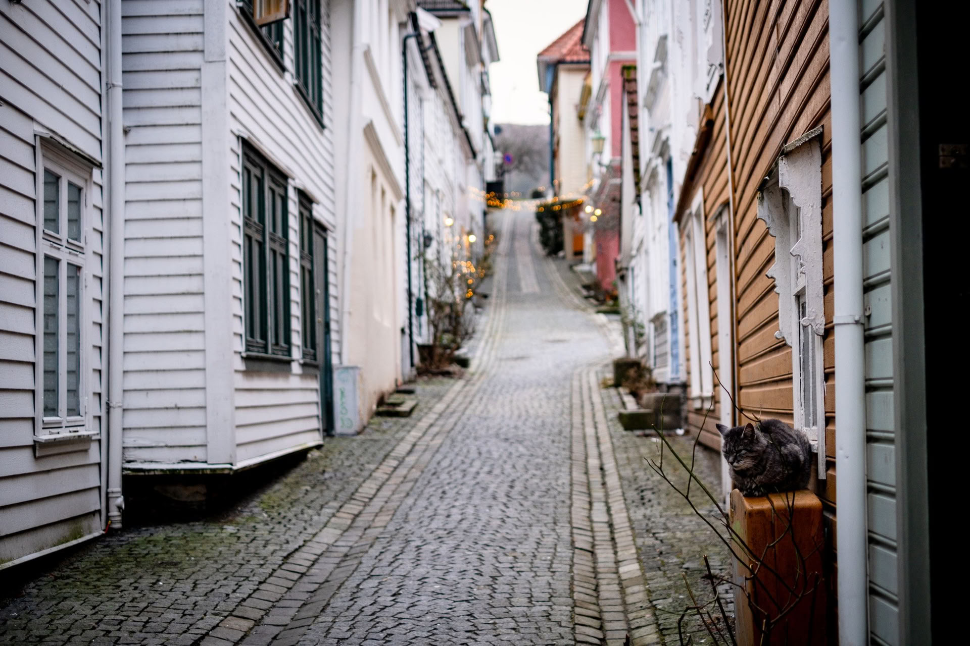 Norwegen Yoga & Backpacking