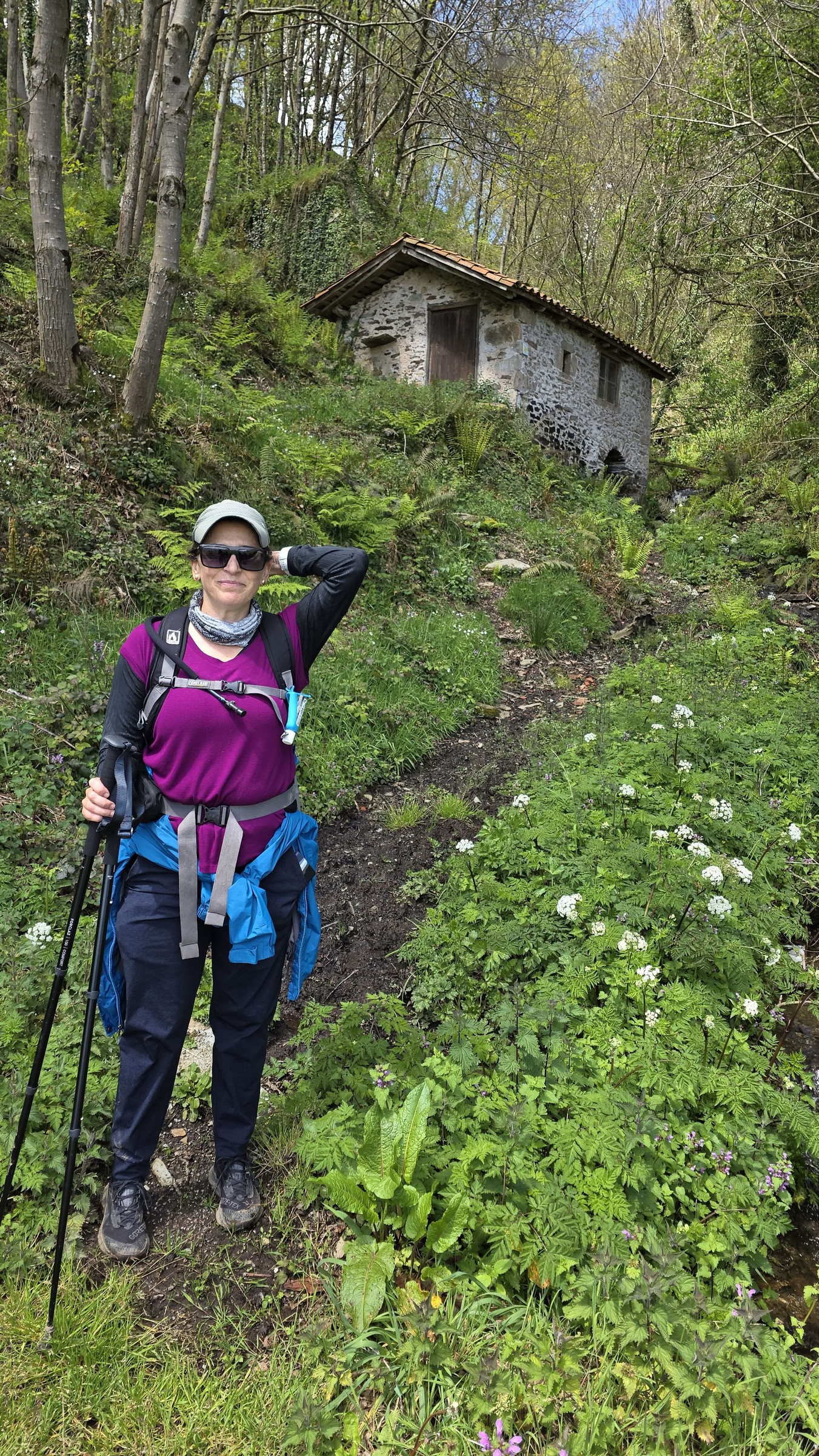 Camino Eclipse Trek