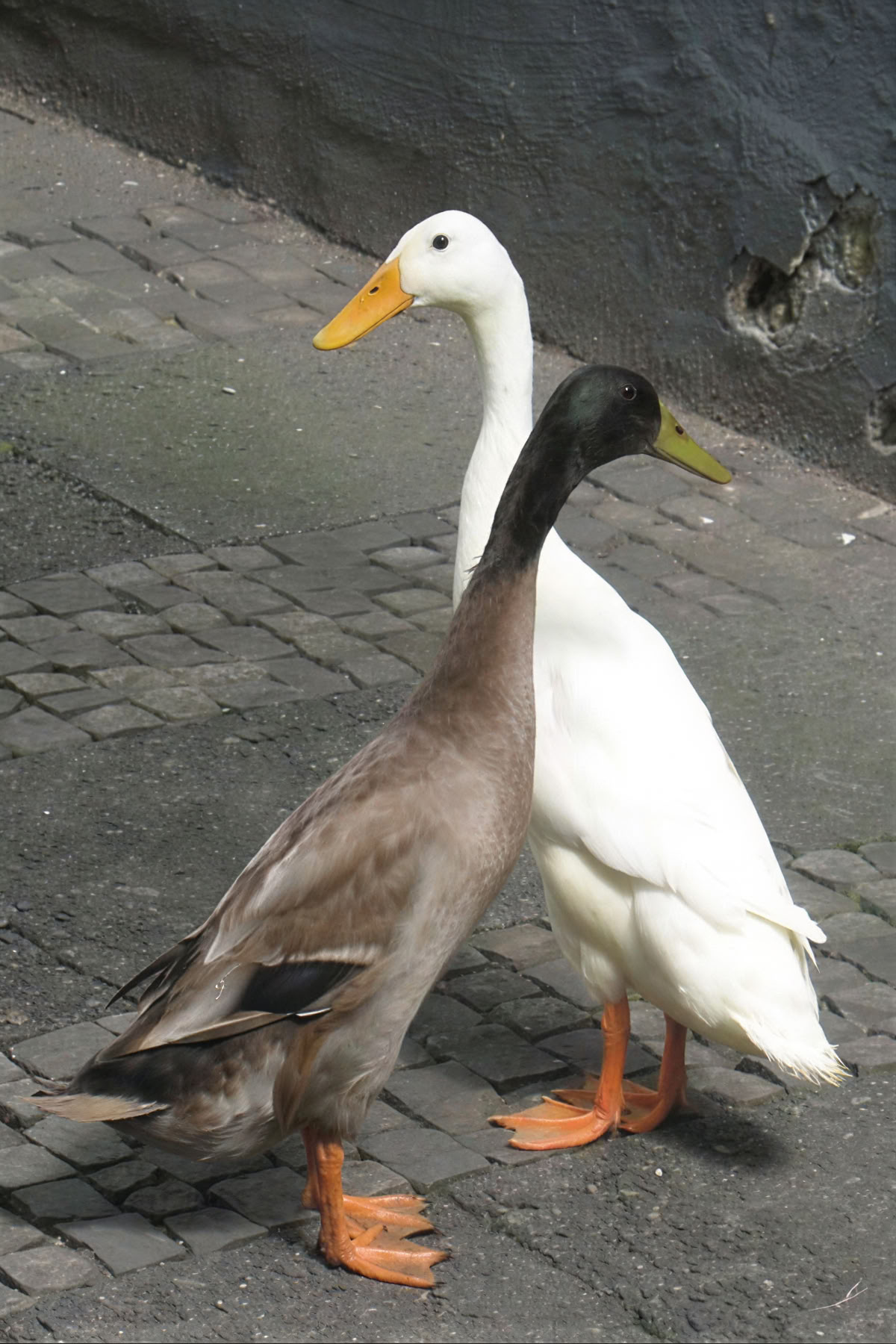Meditation & Selbsterforschung