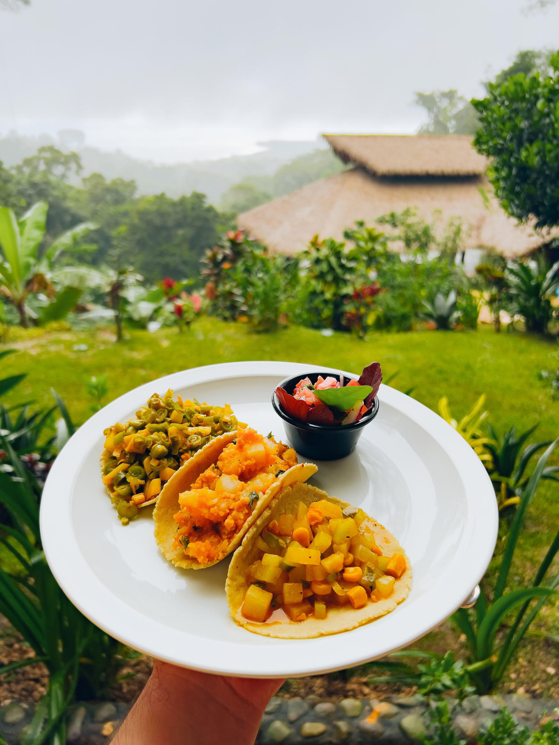 pilates & wellness Retreat