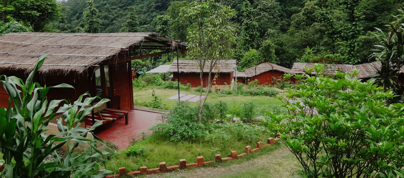 100-Stunden-Yoga-Lehrer-Ausbildung in Rishikesh
