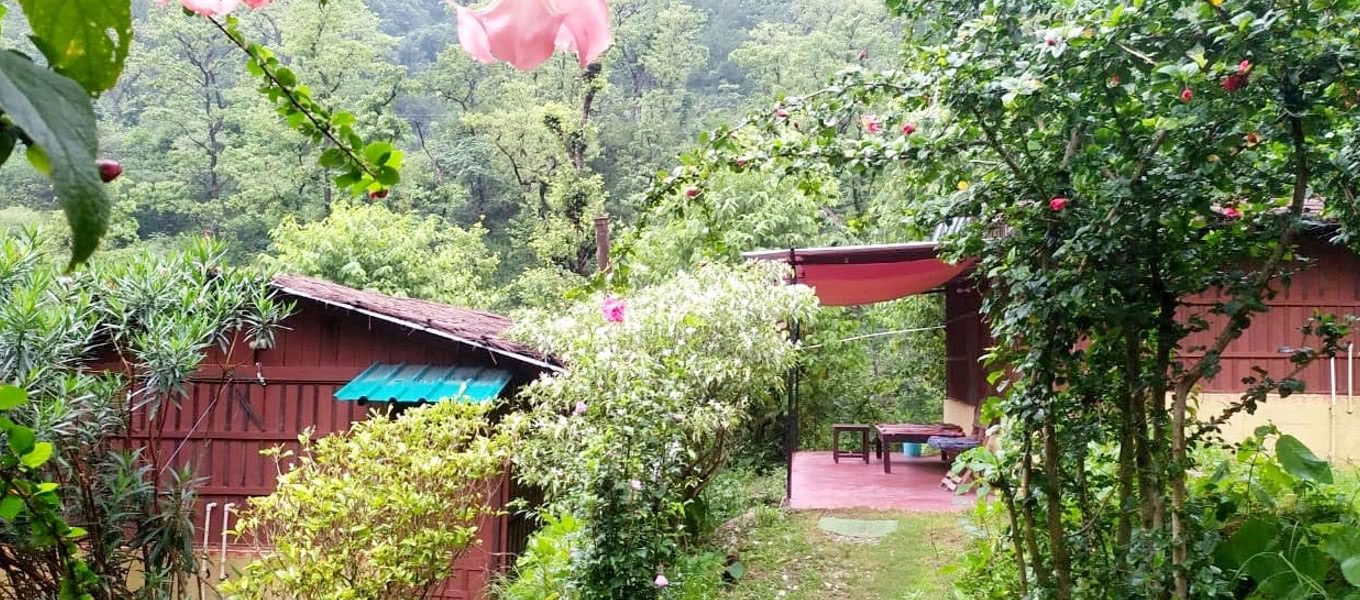 100-Stunden-Yoga-Lehrer-Ausbildung in Rishikesh