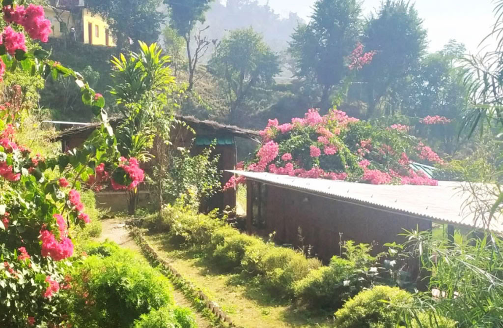 100-Stunden-Yoga-Lehrer-Ausbildung in Rishikesh