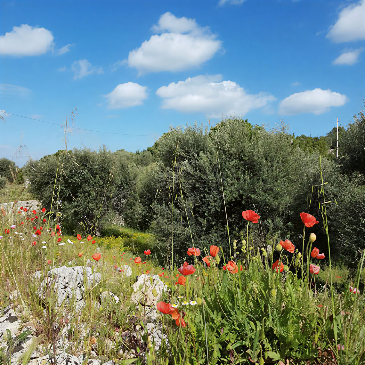 Yoga- und somatisches Bewegungs-Retreat