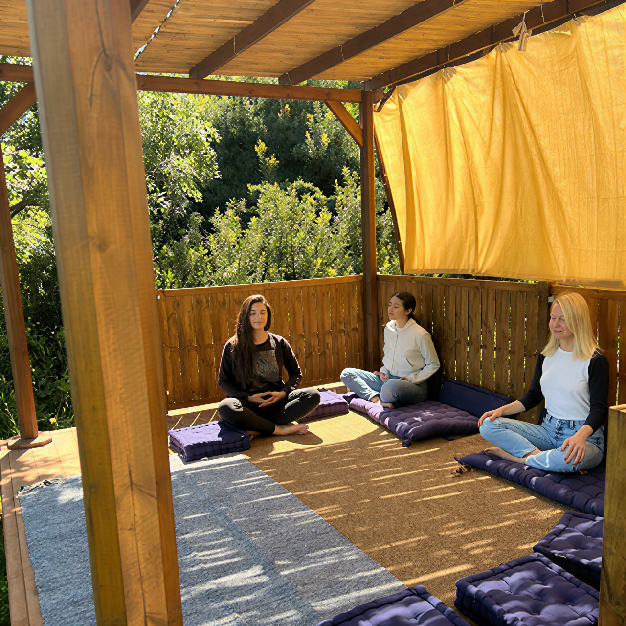 Yoga und Olivenernte Retreat