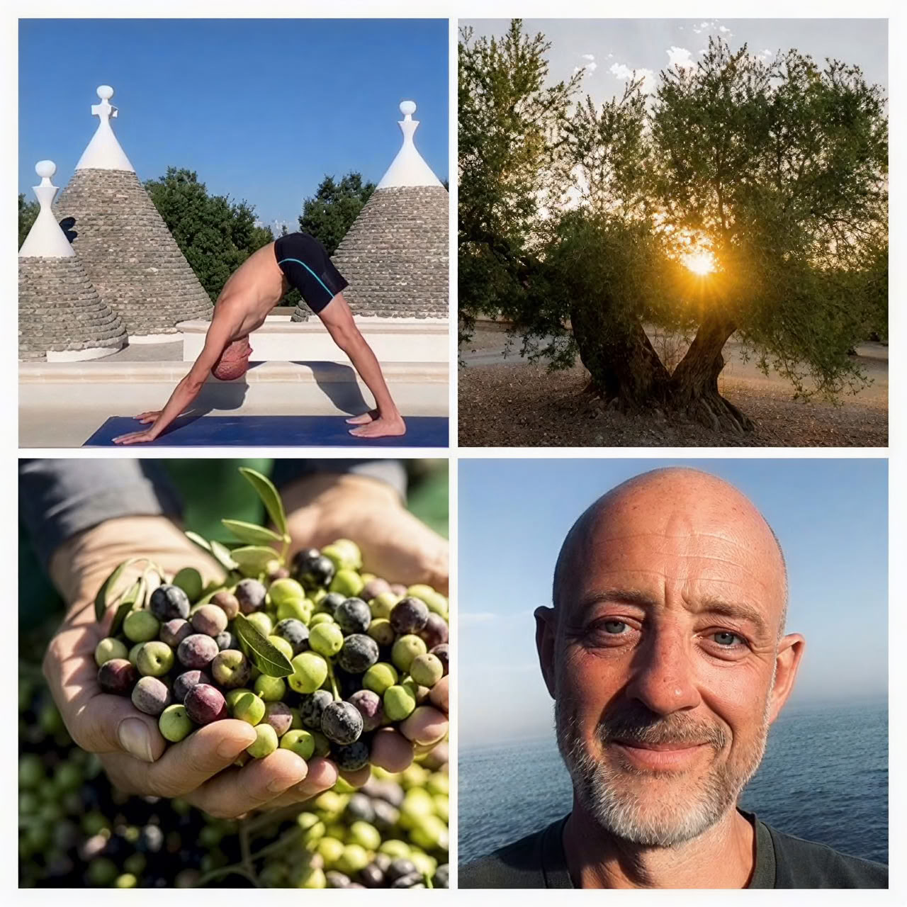Yoga und Olivenernte Retreat