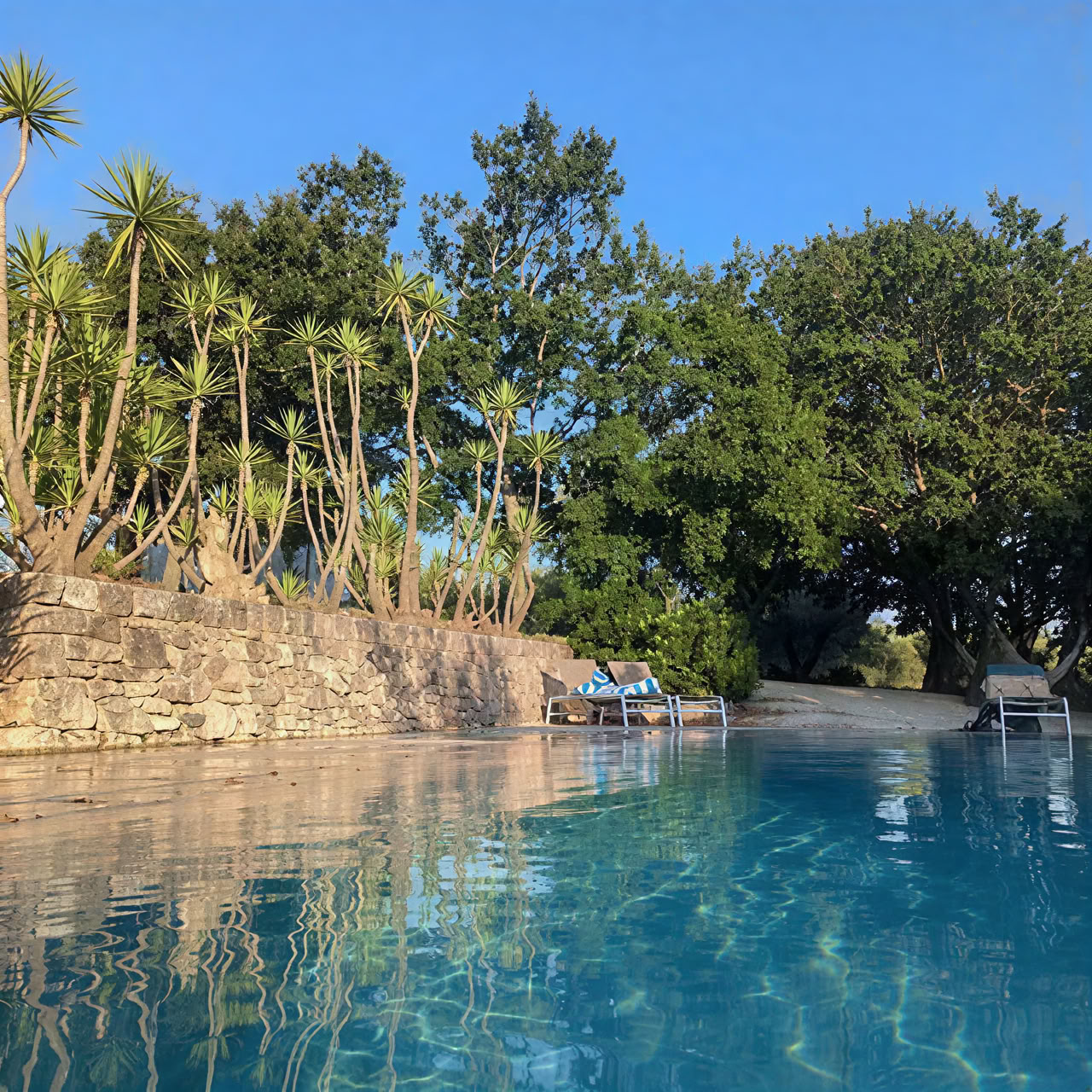 Yoga und Somatic Movement Retreat in Apulien — The Space