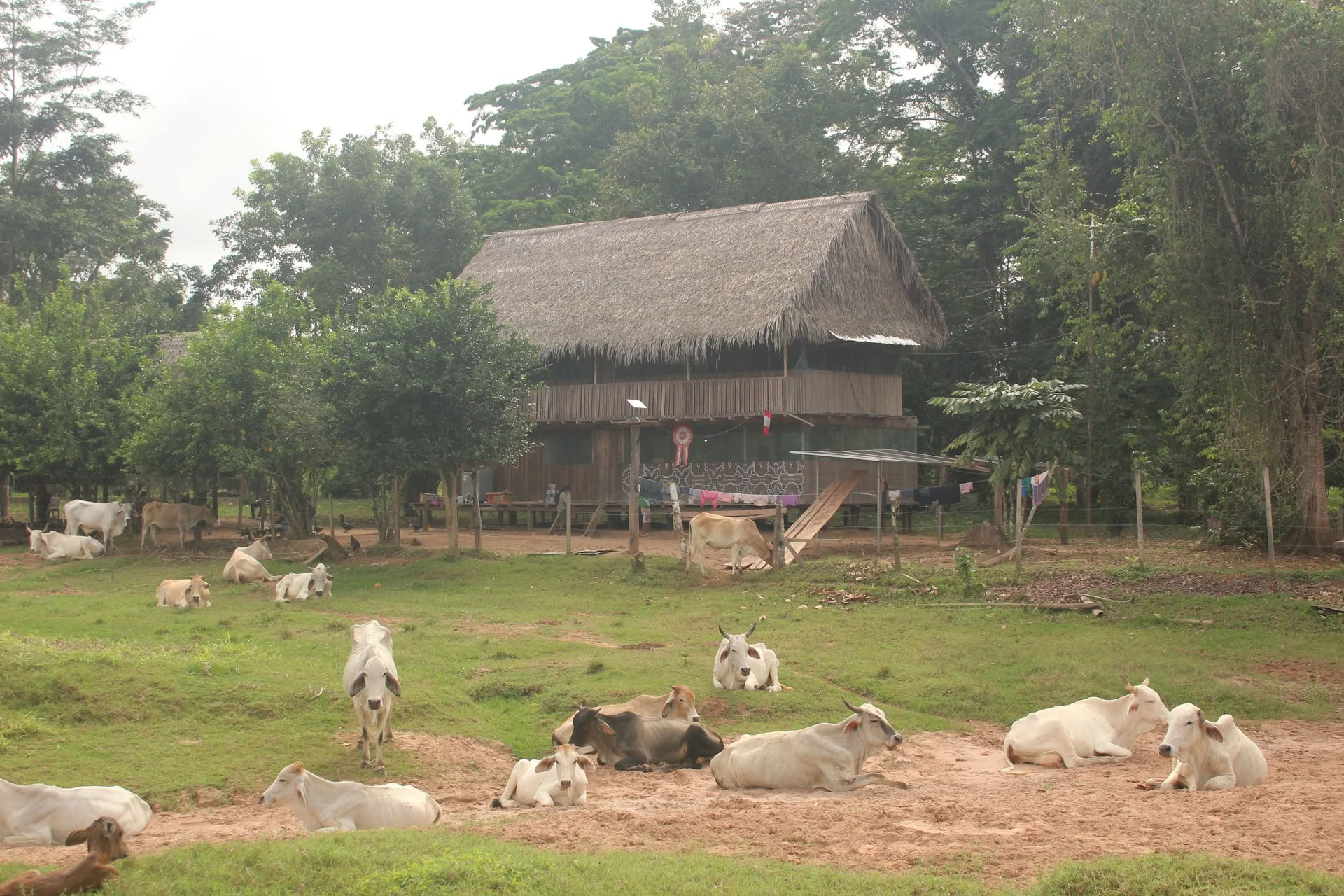 2-Wochen-Retreat