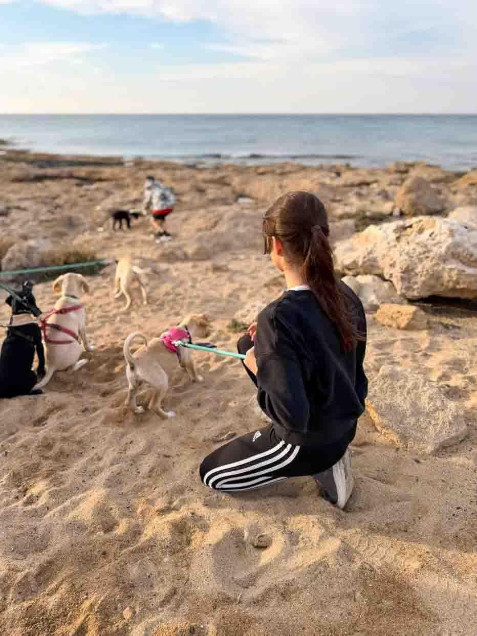 Welpen-Strandspaziergang