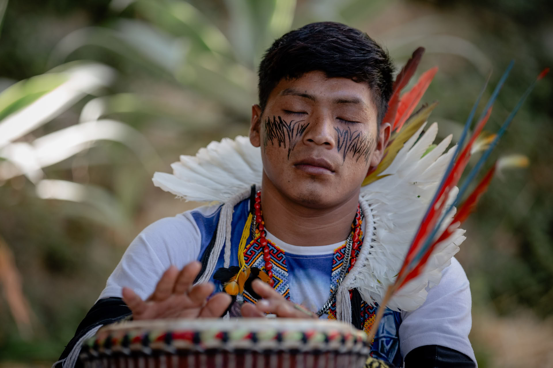 Ayahuasca-Zeremonien