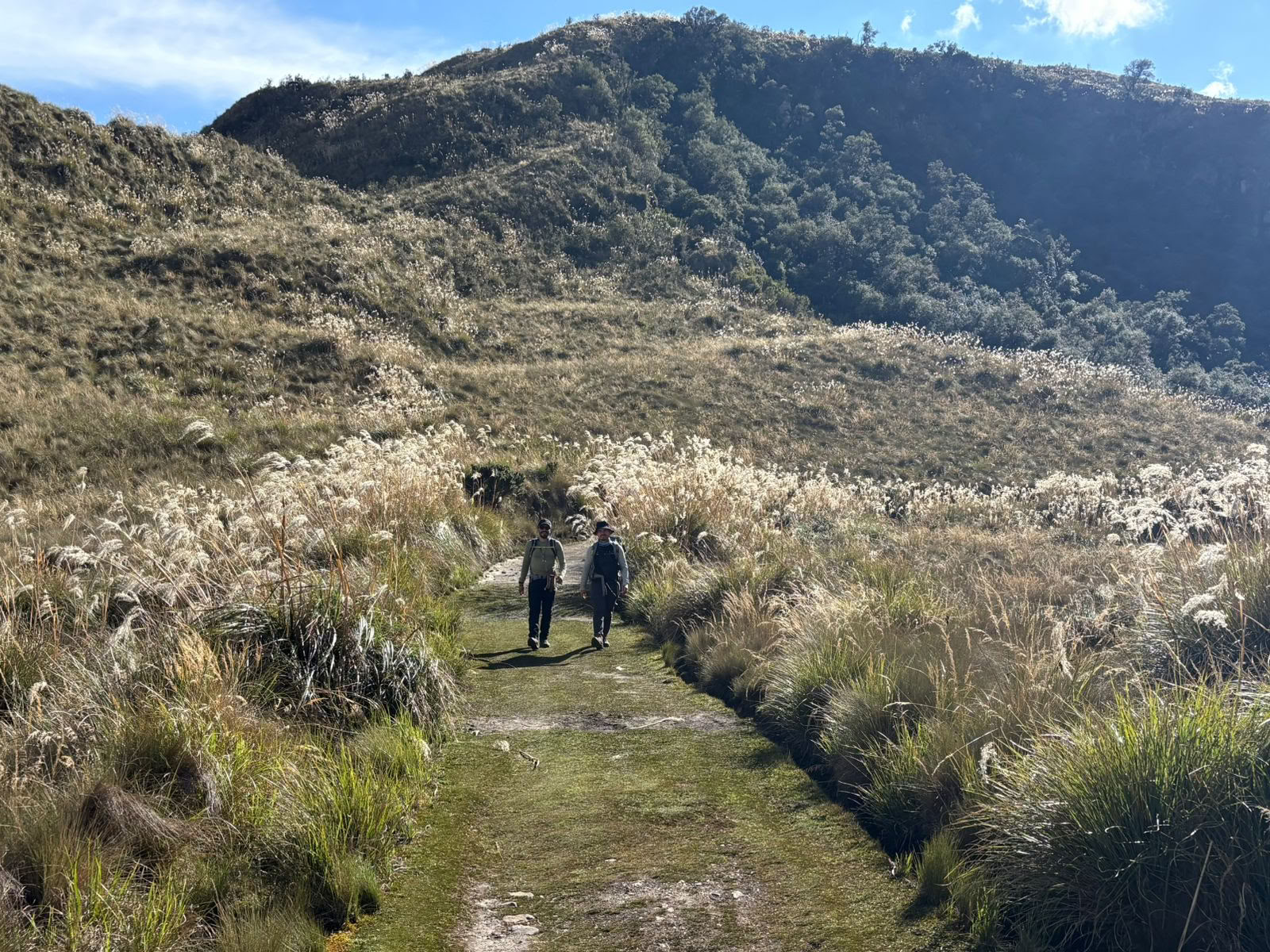 Ayahuasca Retreat · 5.–12. Jul. 2026