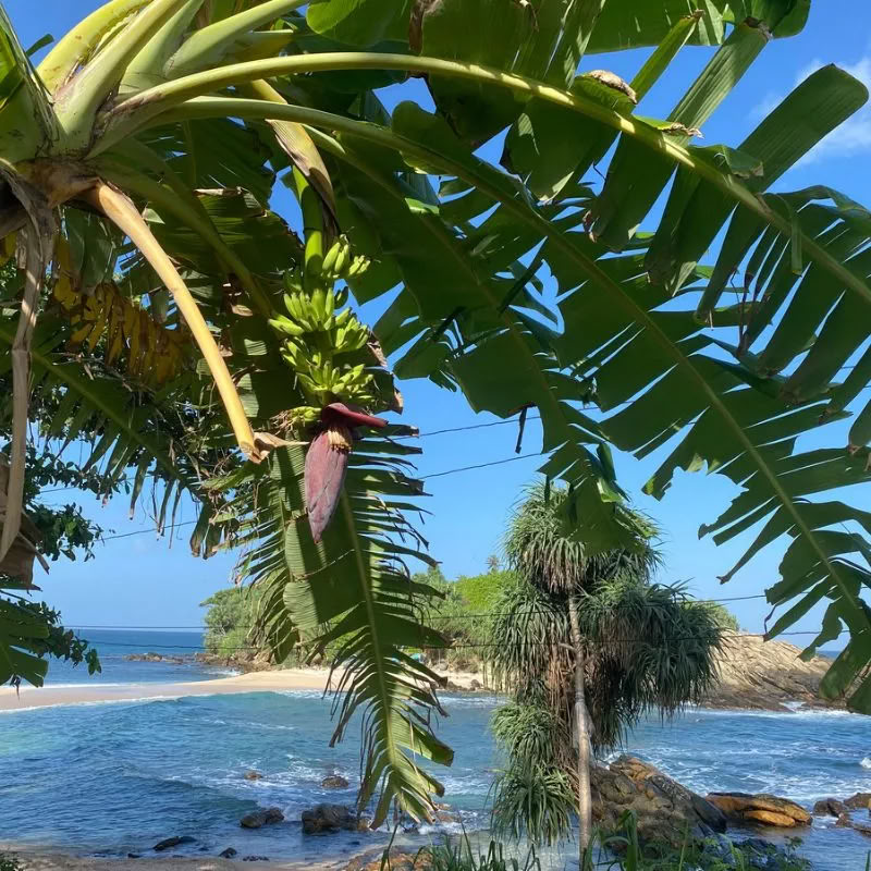 Sri Lanka Retreat – April 2027