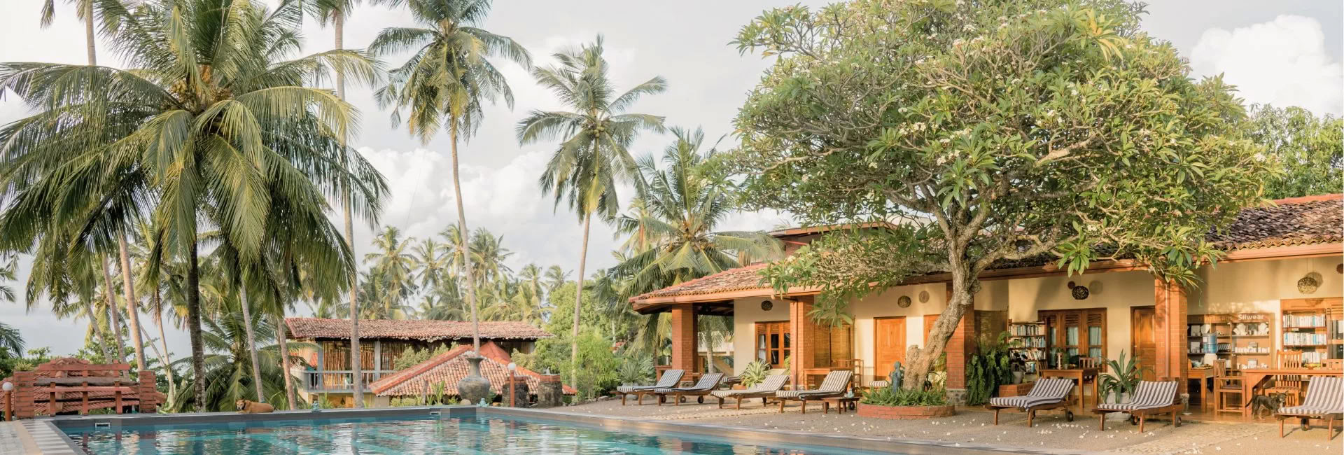Sri Lanka Retreat – April 2027
