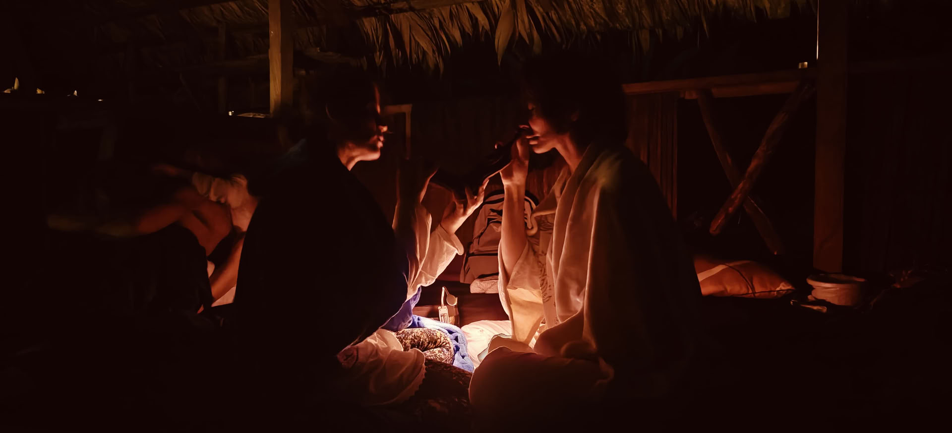 Retreat mit Ayahuasca und traditioneller indigener Medizin