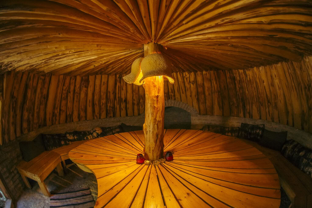 Retreat mit Ayahuasca und traditioneller indigener Medizin