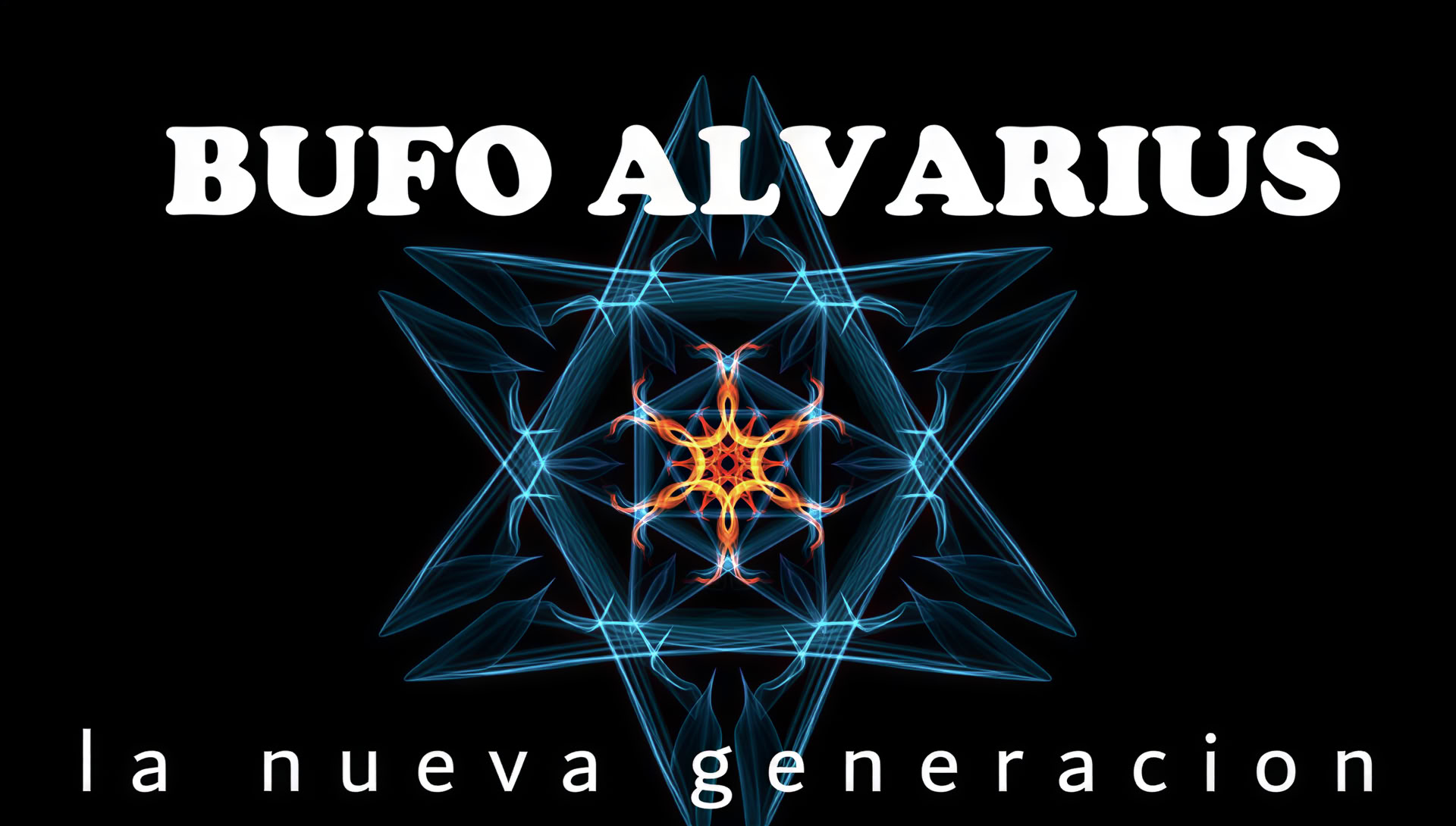 Zeremonie des Bufo Alvarius