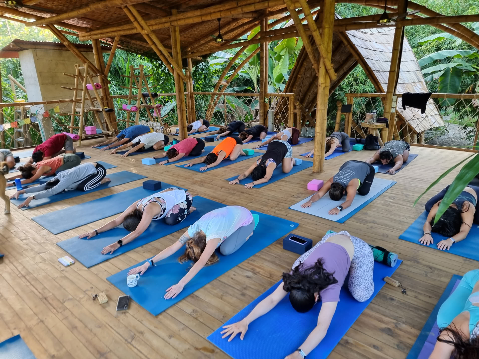 Yoga-Lehrer-Ausbildung 200h