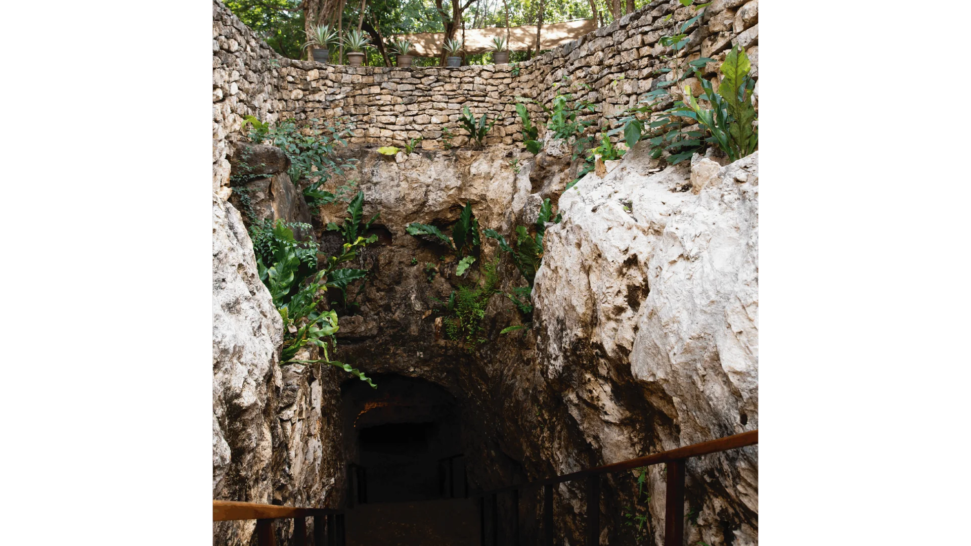 Wasser und Feuer – Cenote und Temazcal