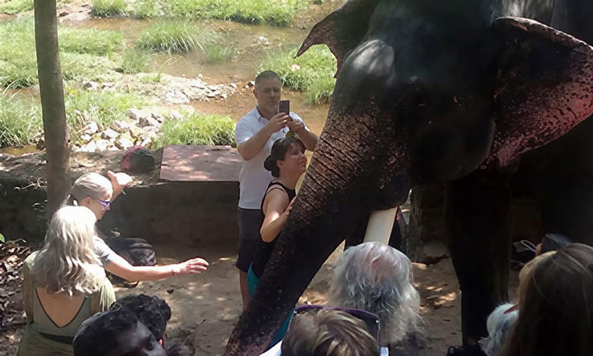 28-tägige Panchakarma-Behandlung in Kerala