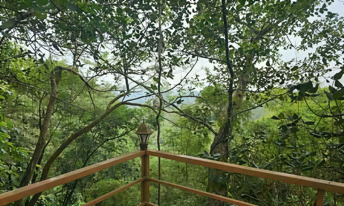 28-tägige Panchakarma-Behandlung in Kerala