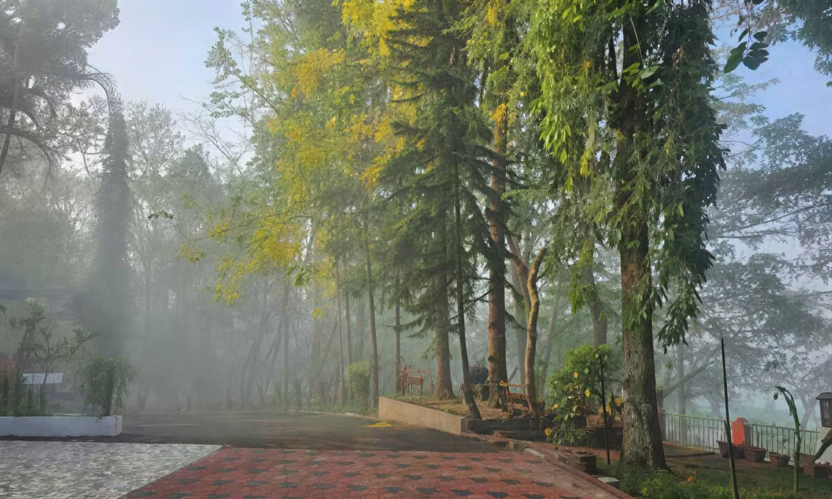 28-tägige Panchakarma-Behandlung in Kerala