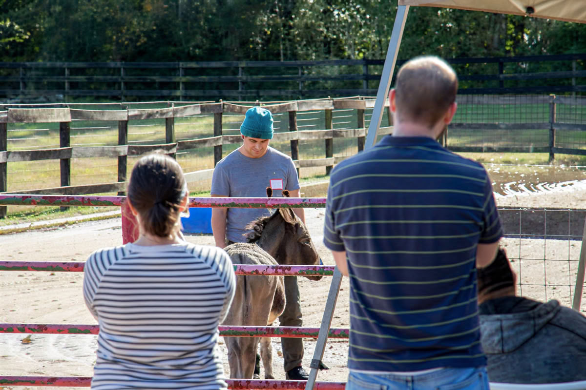 Horse Harmony: Ein 3-tägiges Women’s Balance- und Well-Being-Retreat
