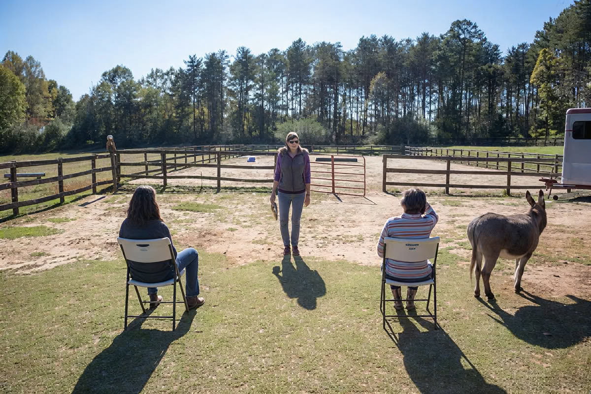Horse Harmony: Ein 3-tägiges Women’s Balance- und Well-Being-Retreat