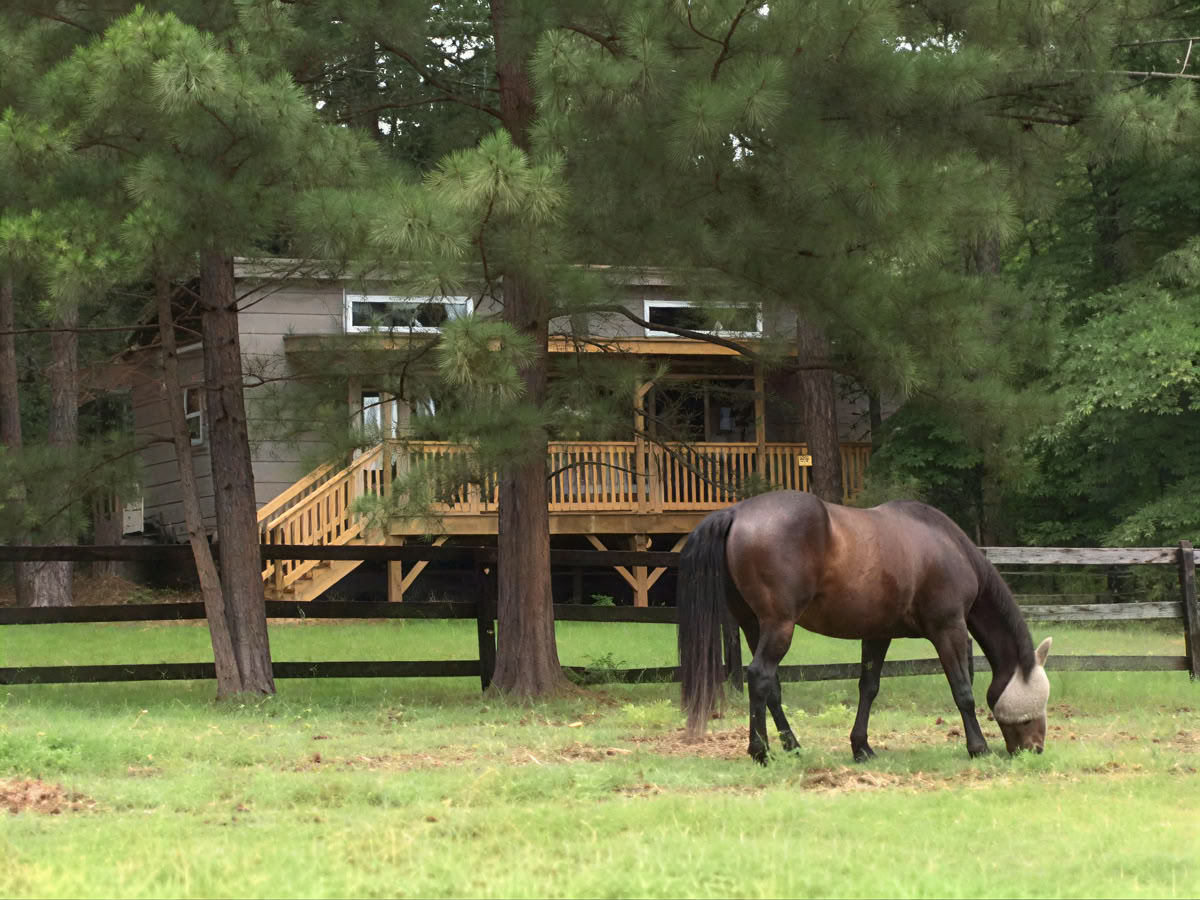 Horse Harmony: Ein 3-tägiges Women’s Balance- und Well-Being-Retreat