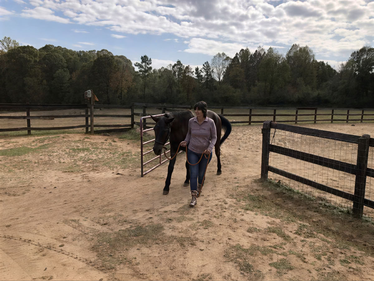 Horse Harmony: Ein 3-tägiges Women’s Balance- und Well-Being-Retreat