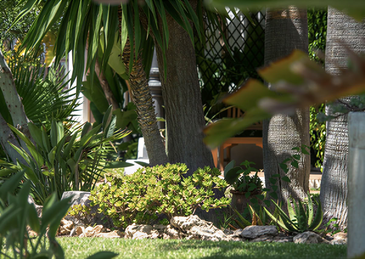 Wellness Retreat mit Deirdre Fitzpatrick – Better mybody