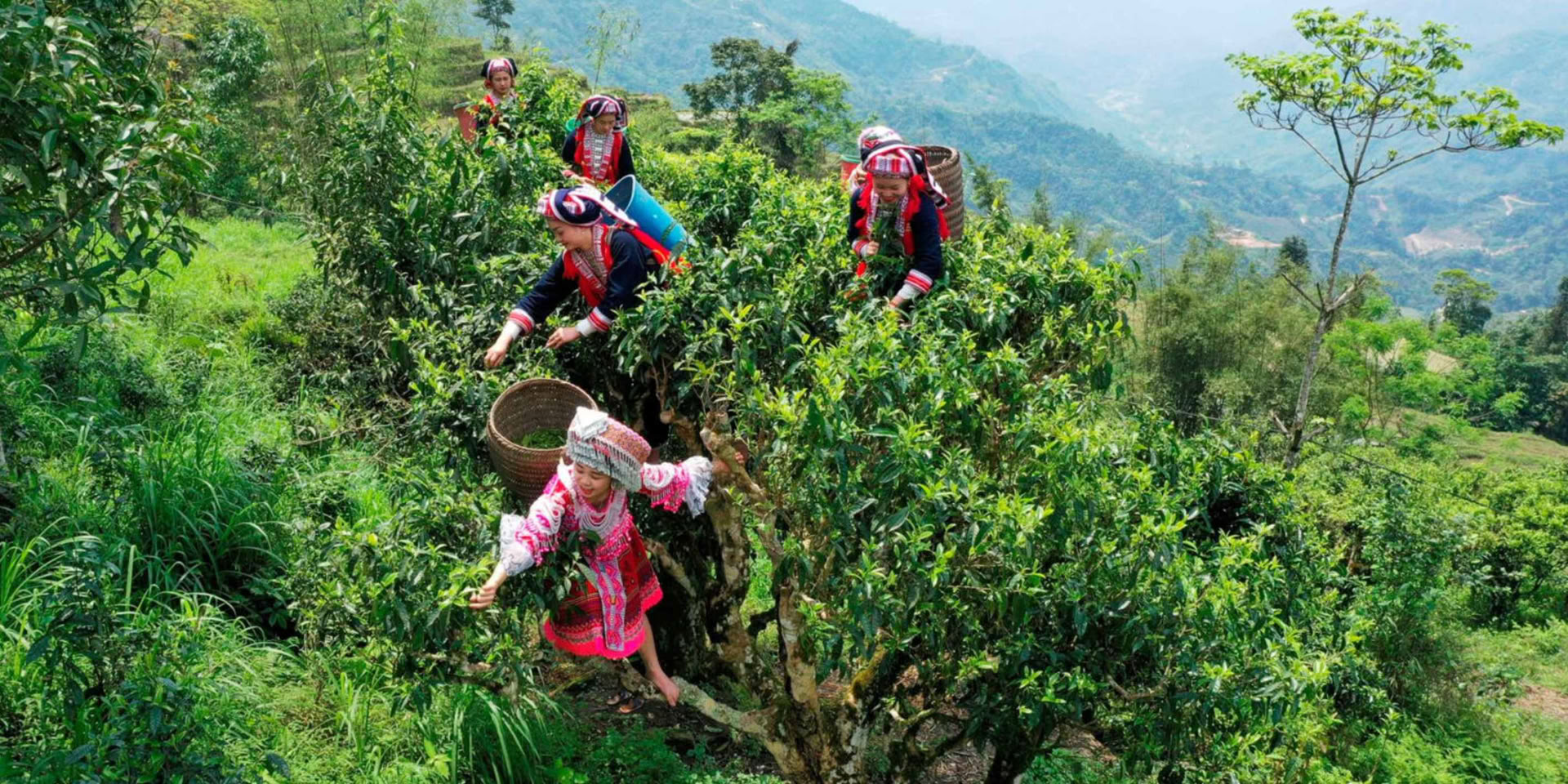 Der Village Immersion Trek