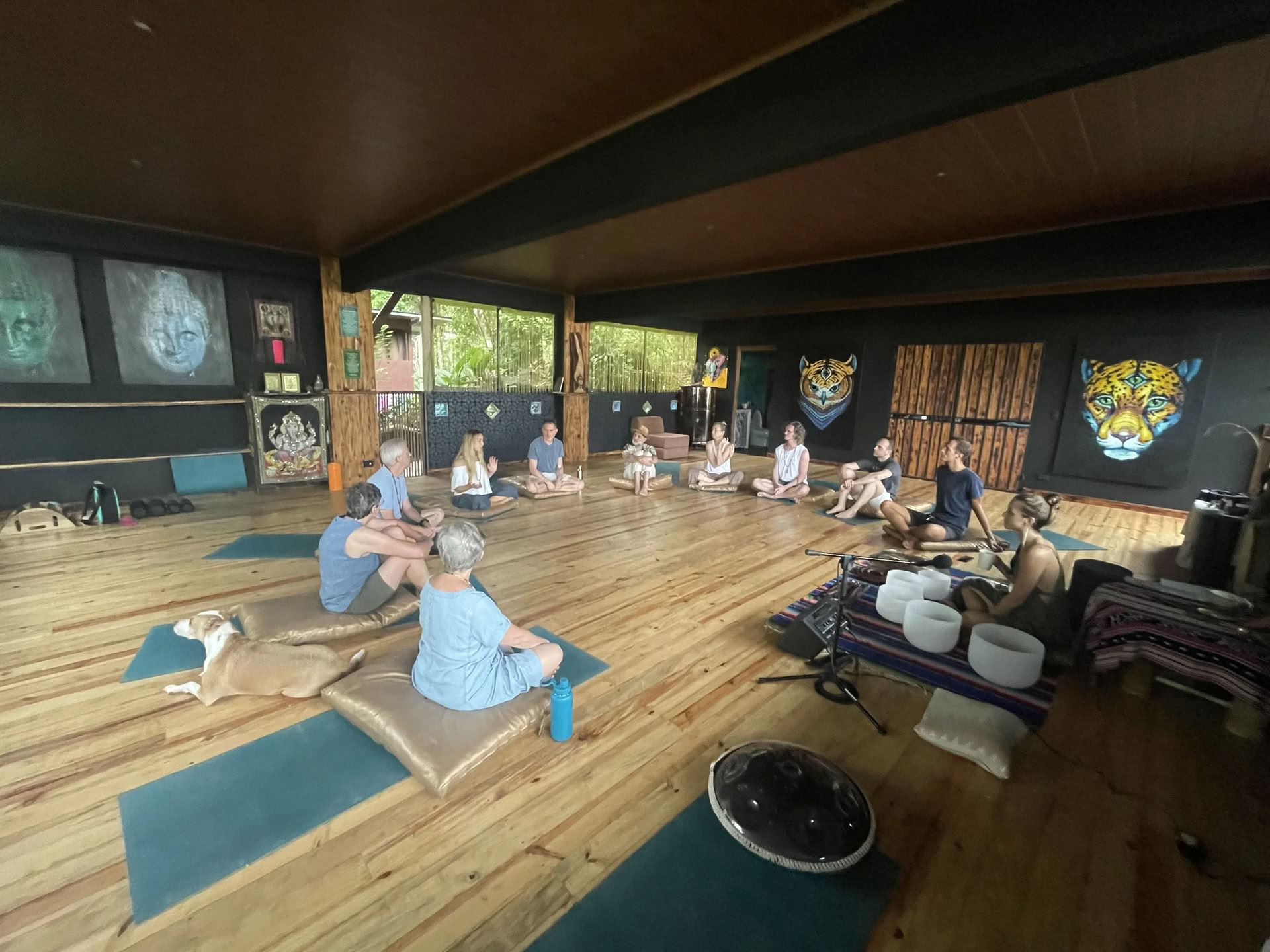 Floresta: 7-tägige Medicine Music Immersion