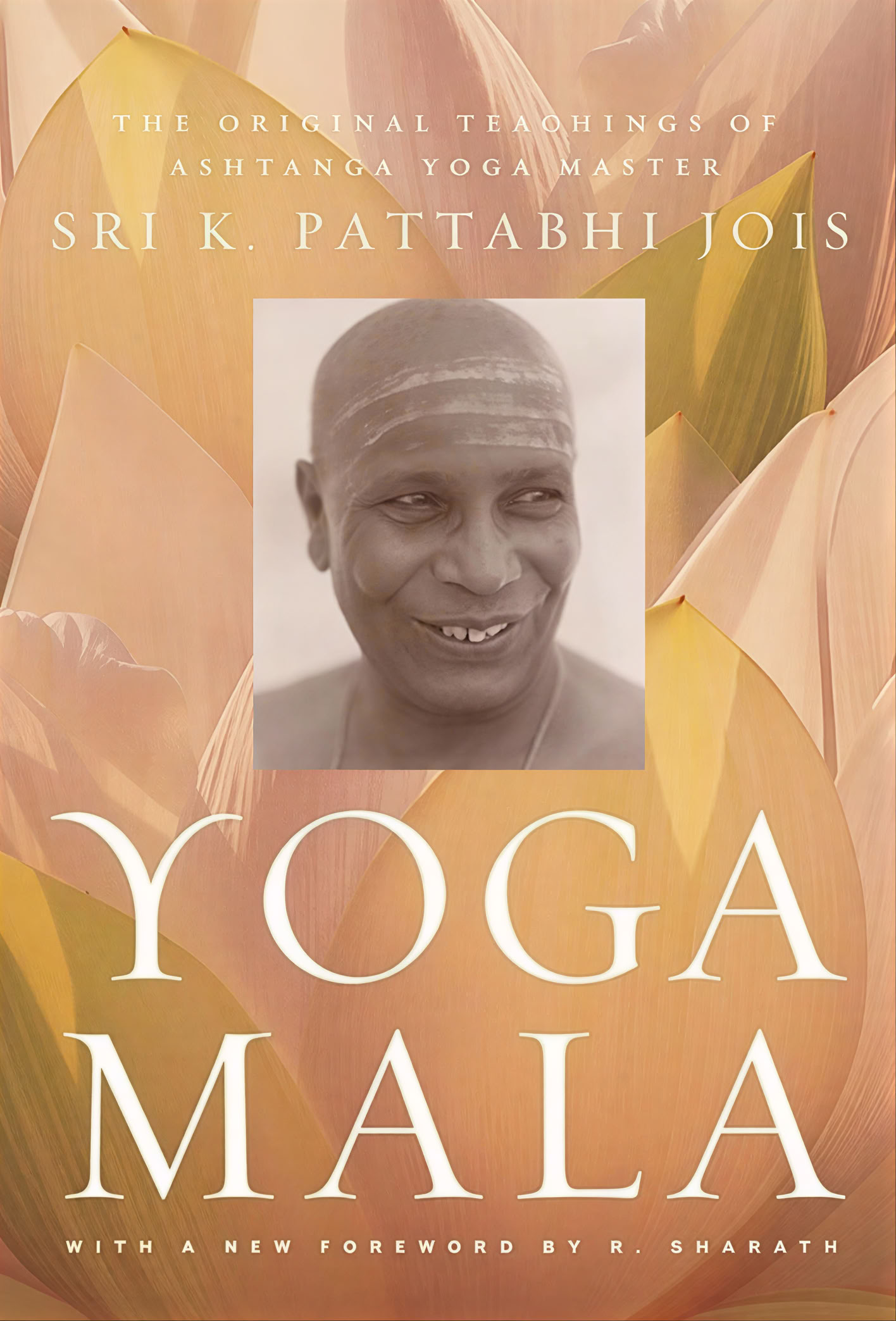 100-Stunden Yoga Teacher Training für Anfänger in Rishikesh, Indien