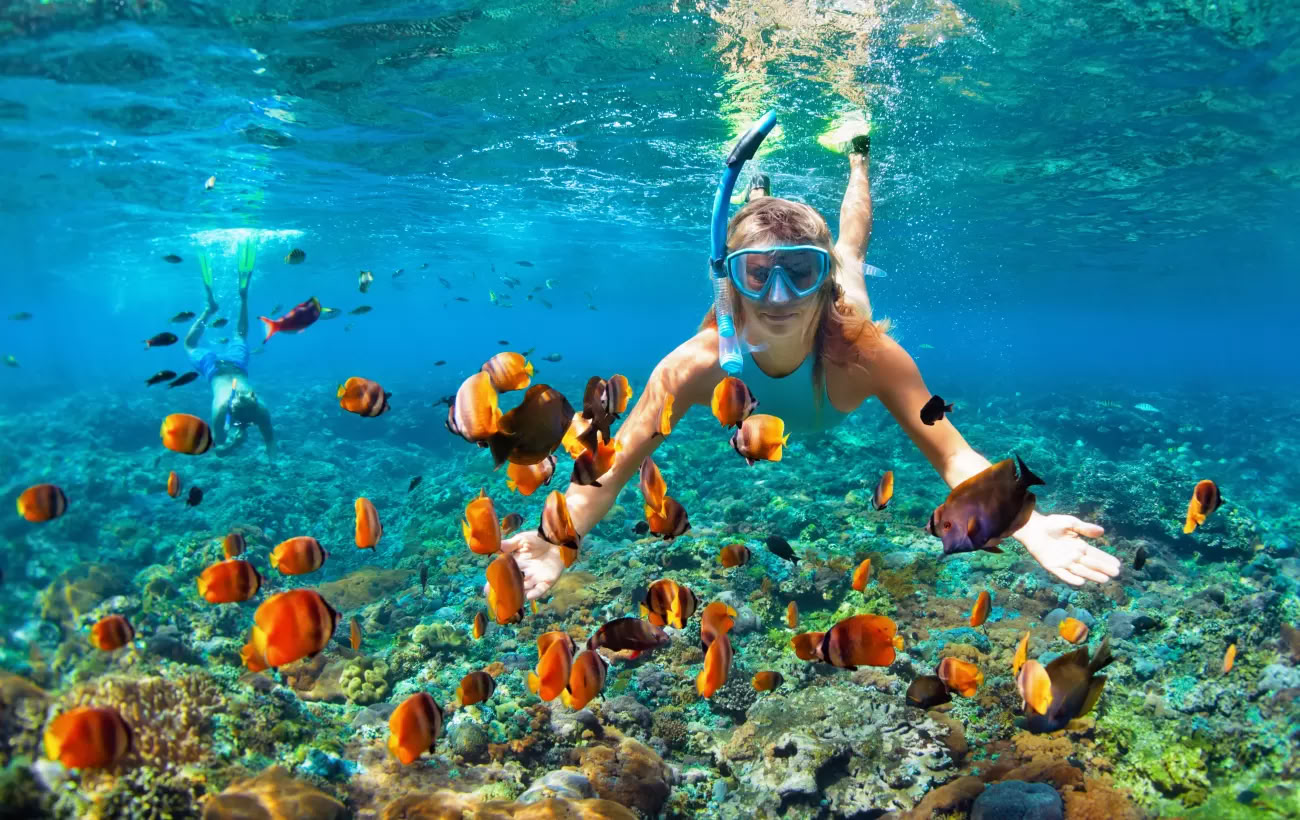 Internationale Reise-Retreats