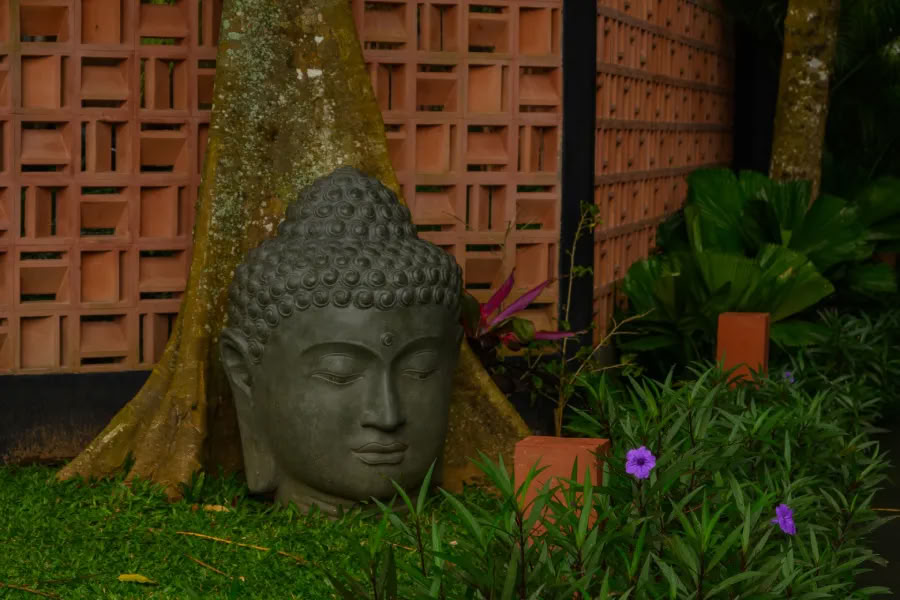 Yoga und Meditation
