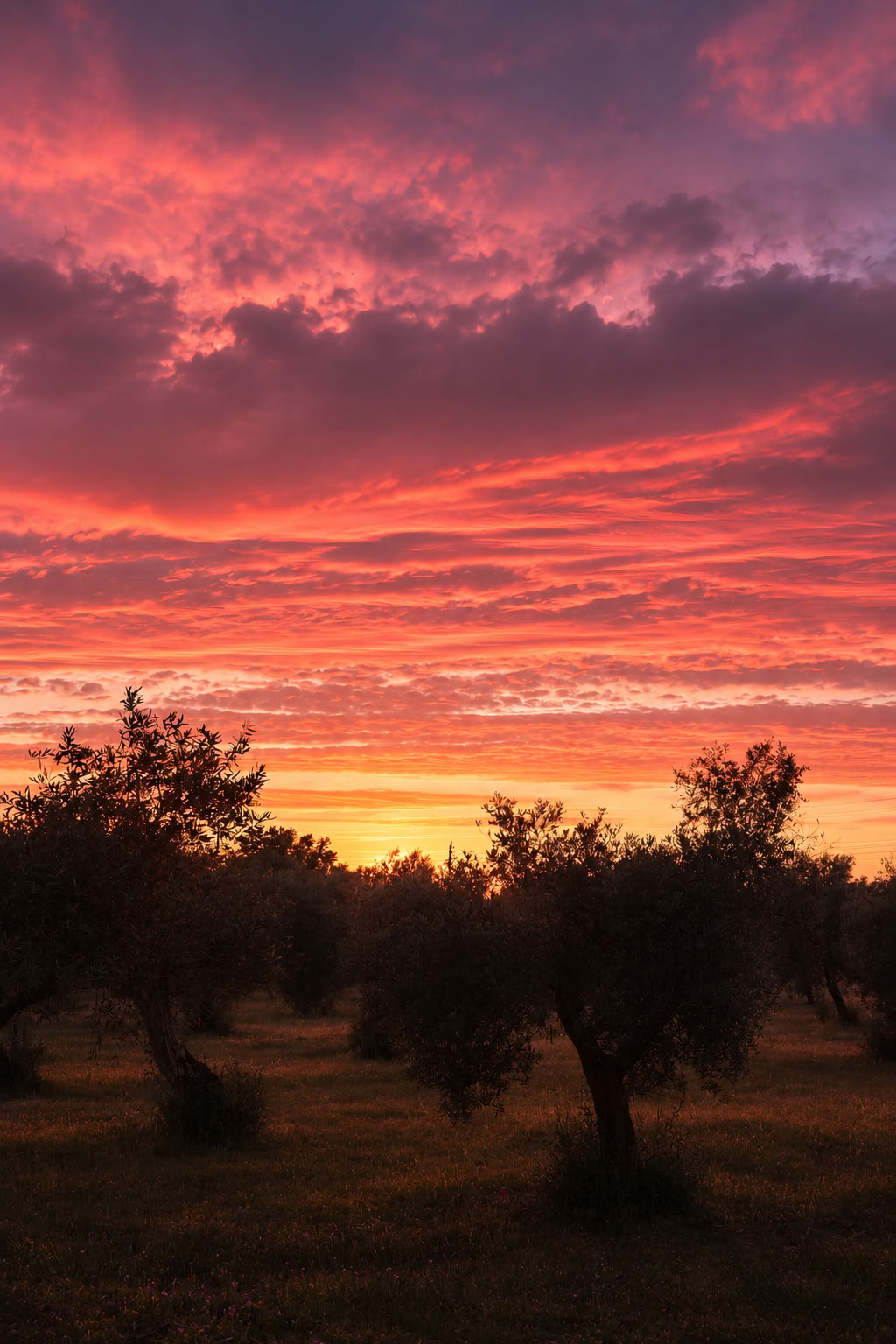 Auf Reisen gehen, sich selbst entdecken: 6-tägiges Wellness-Retreat für Frauen in Portugal