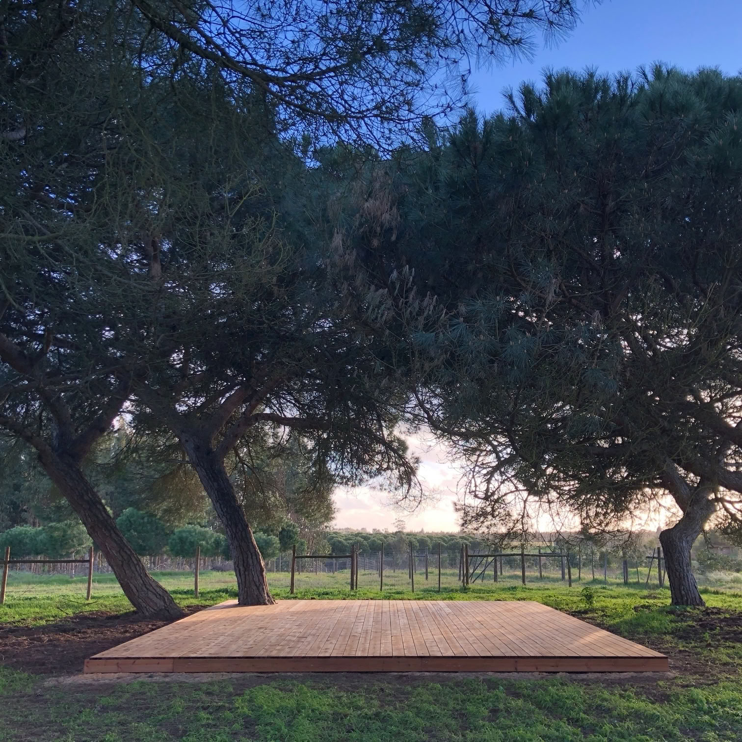RECONNECT Yoga Retreat Portugal